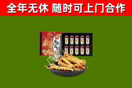 龙里县回收冬虫夏草价格